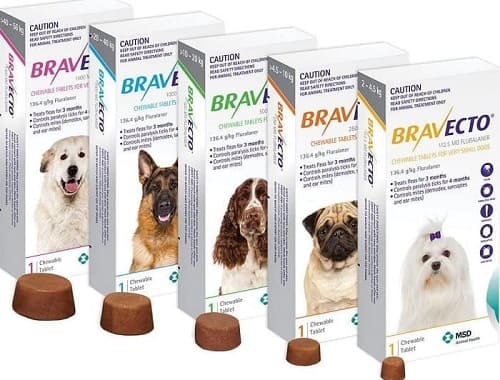 Таблетки бравекто от блох и клещей для собак - инструкция по применению, состав и цена