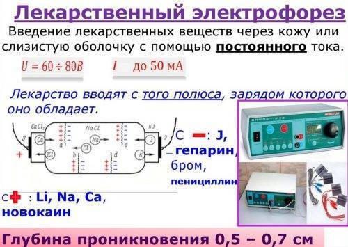 Поперечные и остистые отростки позвоночника