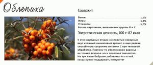 «облепиховое масло»: полезные свойства и противопоказания, цена в аптеке, сколько стоят аналоги