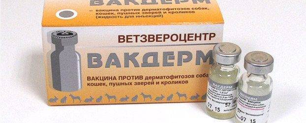 Вакдерм для кошек инструкция по применению вакцины, отзывы