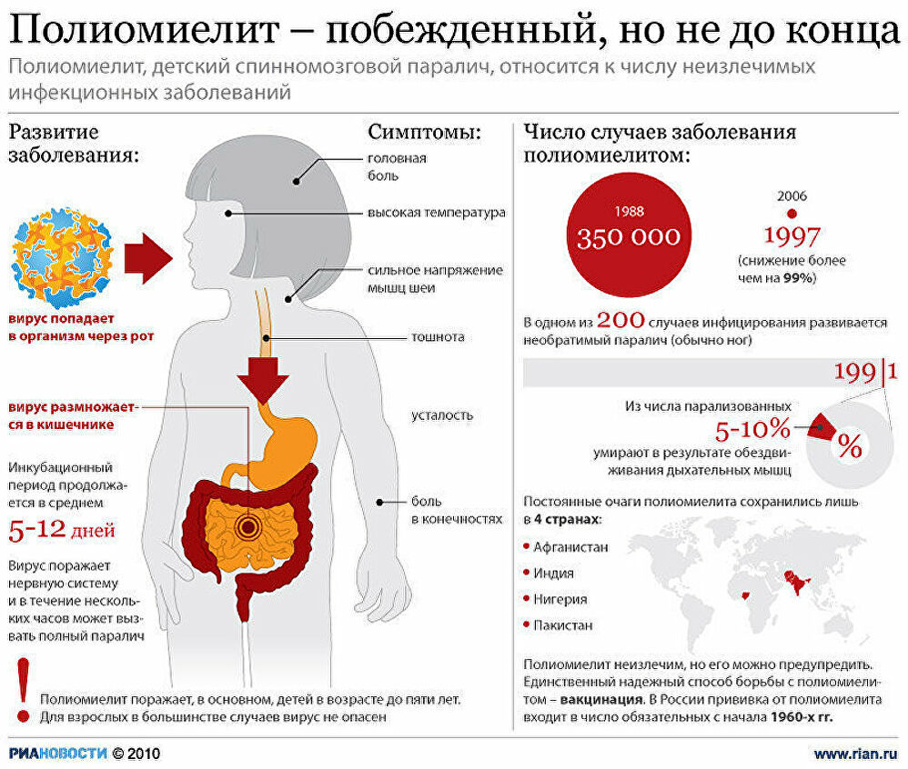 Не берут в садик без прививки полиомиелита - запись пользователя may (ilovebabyblog) в сообществе детские болезни от года до трех в категории прививки - babyblog.ru