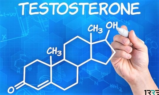 Как тестостерон влияет на зачатие у мужчин?