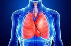 Можно ли пневмонию перепутать с туберкулезом