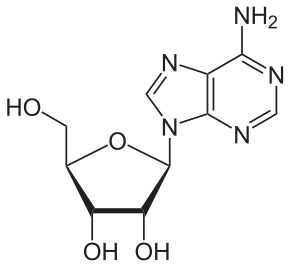 Аденозин — википедия. что такое аденозин