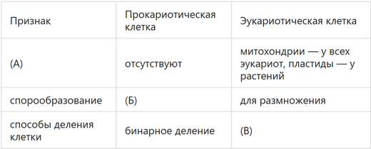 что больше клетка или бактерия. Смотреть фото что больше клетка или бактерия. Смотреть картинку что больше клетка или бактерия. Картинка про что больше клетка или бактерия. Фото что больше клетка или бактерия