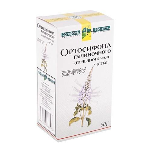 Ортосифон: полезные свойства, противопоказания, польза и вред