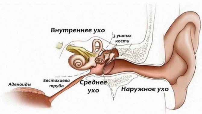 Прыщи в ушах и за ними: причины и лечение
