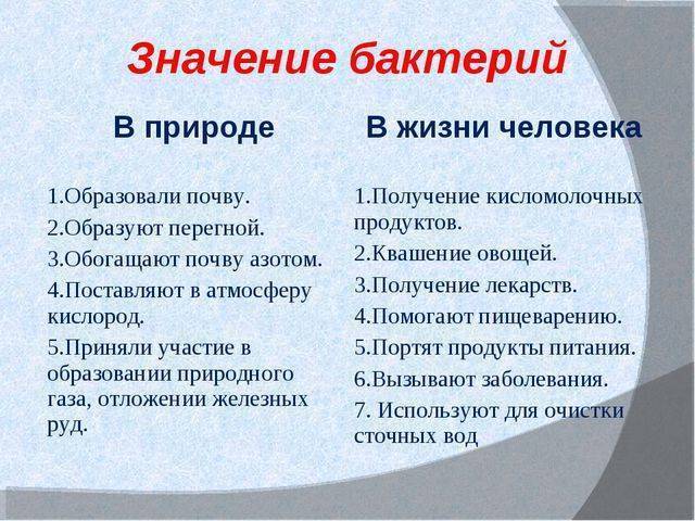 чем питаются бактерии сапротрофы. Смотреть фото чем питаются бактерии сапротрофы. Смотреть картинку чем питаются бактерии сапротрофы. Картинка про чем питаются бактерии сапротрофы. Фото чем питаются бактерии сапротрофы