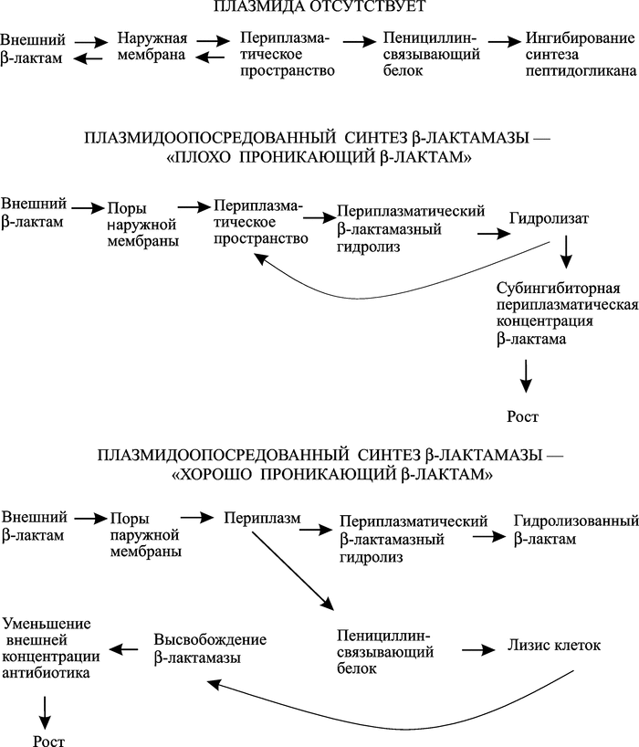 Микоплазма резистентность к антибиотикам