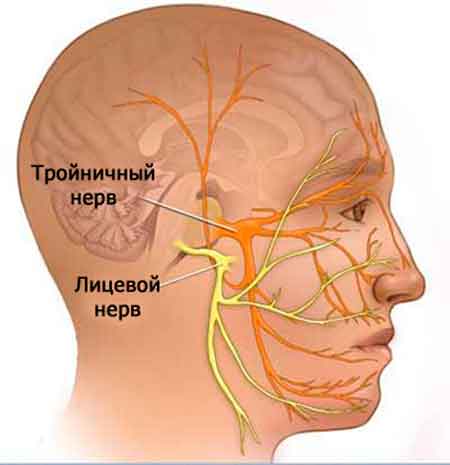 Онемение лица и головы признак какой болезни