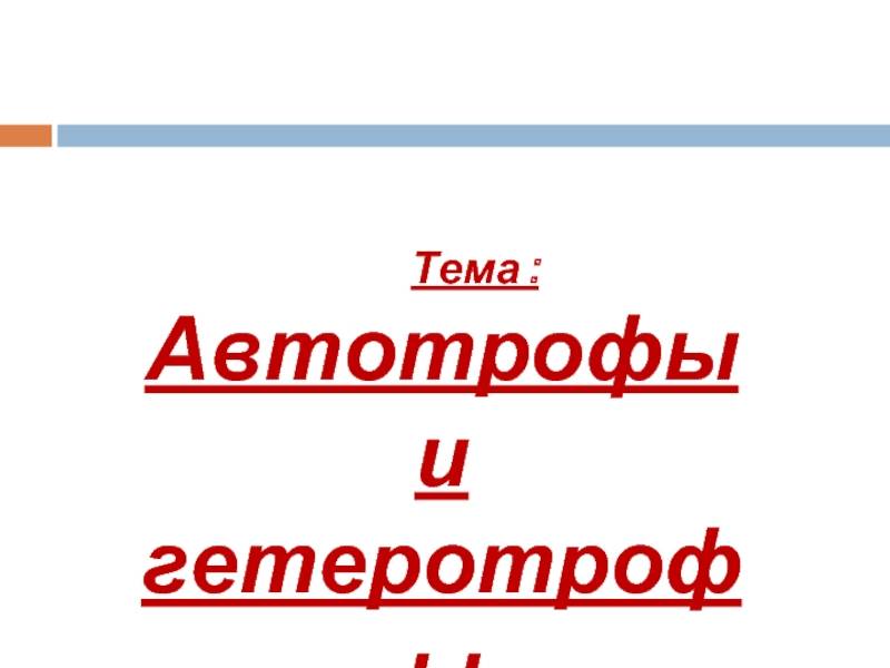 Бактерии автотрофы характеризуются тем что. f20b55ef160b76481ca8b04322c0e6ce. Бактерии автотрофы характеризуются тем что фото. Бактерии автотрофы характеризуются тем что-f20b55ef160b76481ca8b04322c0e6ce. картинка Бактерии автотрофы характеризуются тем что. картинка f20b55ef160b76481ca8b04322c0e6ce.