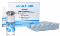 Амикацин: особенности применения, состав, побочные эффекты