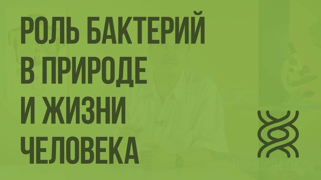 В чем заключается значение бактерий в природе. f540c144a25b3569810be44ee348e3a0. В чем заключается значение бактерий в природе фото. В чем заключается значение бактерий в природе-f540c144a25b3569810be44ee348e3a0. картинка В чем заключается значение бактерий в природе. картинка f540c144a25b3569810be44ee348e3a0