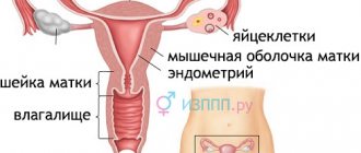 Хронический вагинит: причины, симптомы и методы лечения