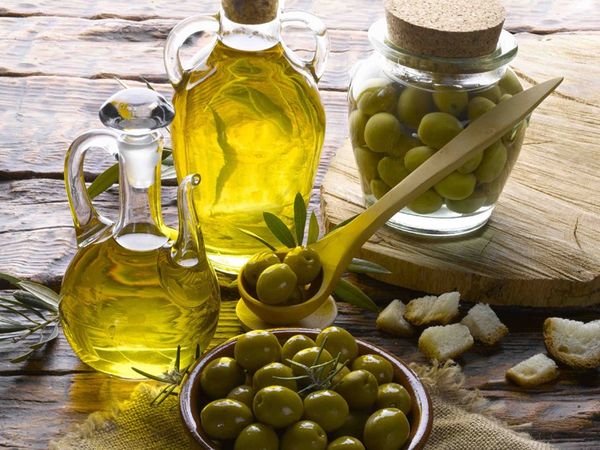 Польза оливкового масла для организма человека
