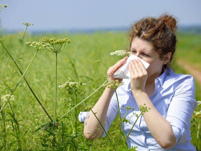 Бронхиальная астма у взрослых: симптомы, лечение 36726 1