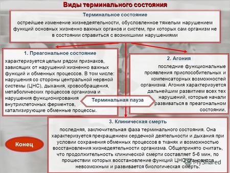 Как называется предсмертное состояние человека. Смотреть фото Как называется предсмертное состояние человека. Смотреть картинку Как называется предсмертное состояние человека. Картинка про Как называется предсмертное состояние человека. Фото Как называется предсмертное состояние человека