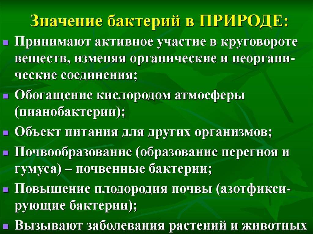 Проект на тему роль бактерий в природе и в жизни человека