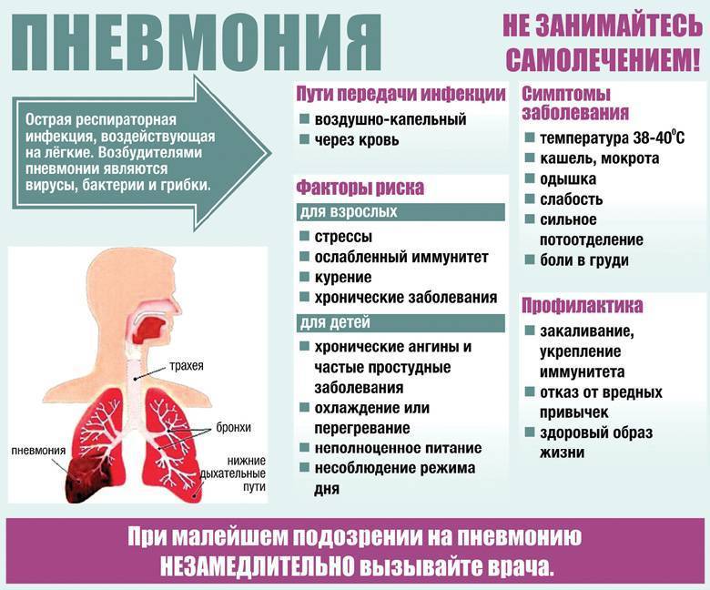 Чем лечить пневмонию у взрослых
