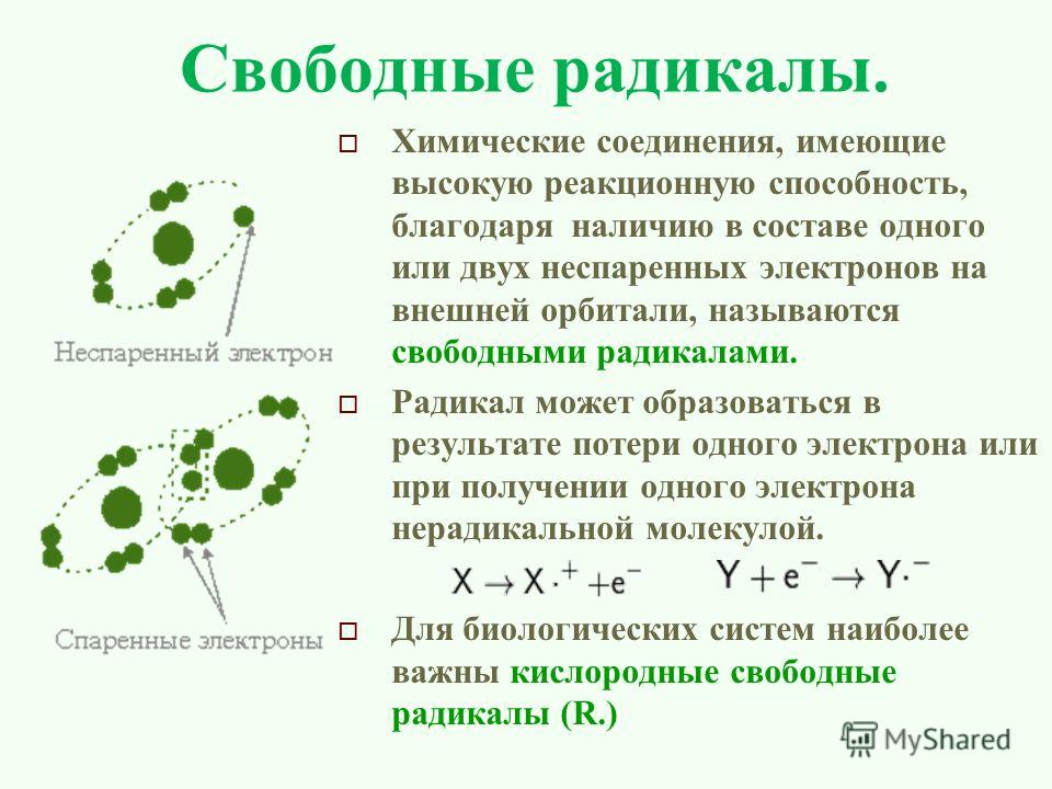 Свободные радикалы презентация