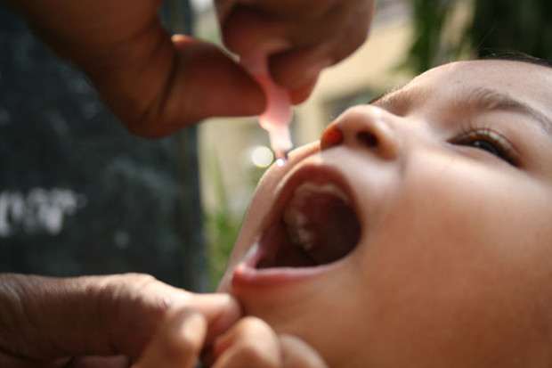 Ревакцинация полиомиелита: график, как переносится