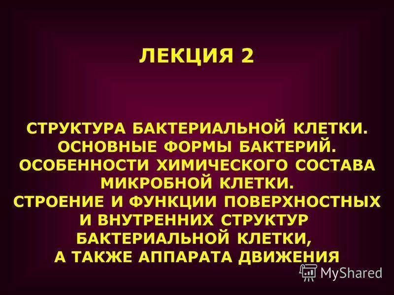 какую форму могут иметь бактерии. картинка какую форму могут иметь бактерии. какую форму могут иметь бактерии фото. какую форму могут иметь бактерии видео. какую форму могут иметь бактерии смотреть картинку онлайн. смотреть картинку какую форму могут иметь бактерии.