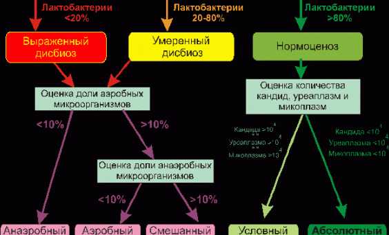 Умеренный дисбиоз. Выраженный анаэробный дисбиоз. Выраженный анаэробный дисбиоз у женщин что это такое. Выраженный дисбиоз у женщин что это. Умеренный анаэробный дисбиоз у женщин что это такое.