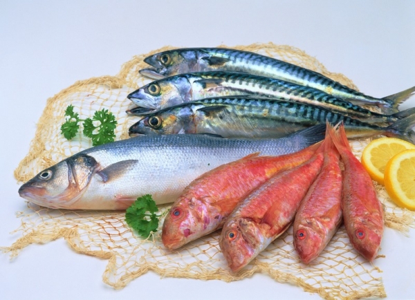 Какие морепродукты человек употребляет в пищу. морепродукты – польза для здоровья, список названий видов