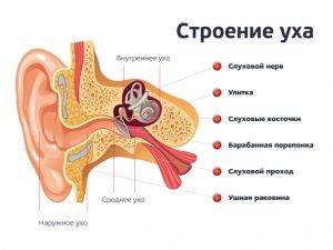 Причины, симптомы и лечение воспаления среднего уха