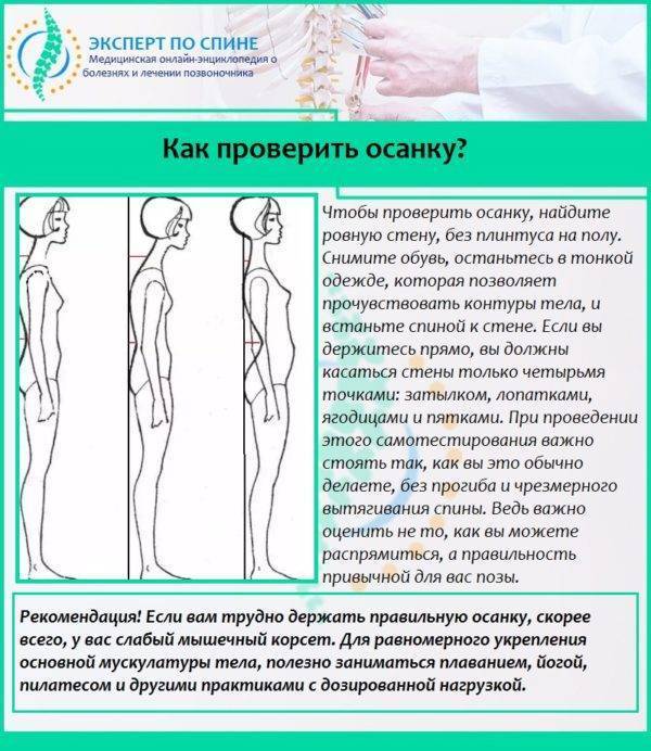 Поясничный лордоз: как его вылечить биомеханическим способом