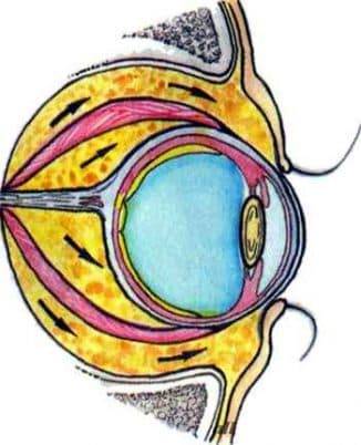 Эндокринная офтальмопатия: что это такое, степени и лечение