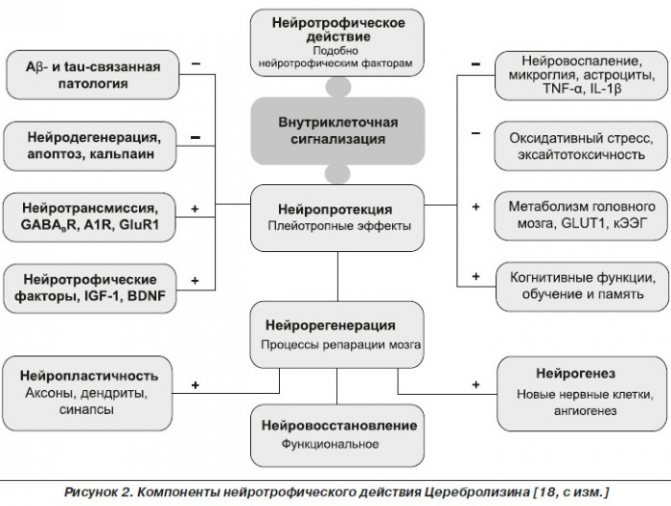 Церебролизин: инструкция по применению, аналоги и отзывы, цены в аптеках россии